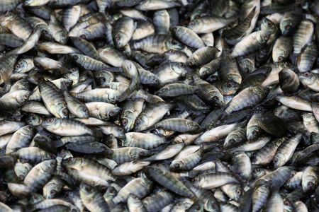 tagreuters.com2025binary_LYNXMPEL3N01Q-VIEWIMAGE