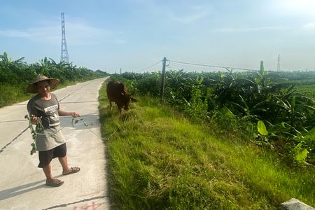 tagreuters.com2025binary_LYNXMPEL7A012-VIEWIMAGE