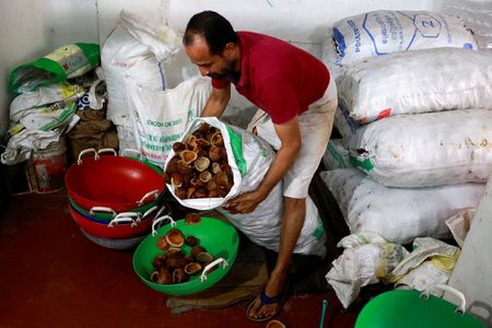 tagreuters.com2025binary_LYNXMPEL7J01Q-VIEWIMAGE