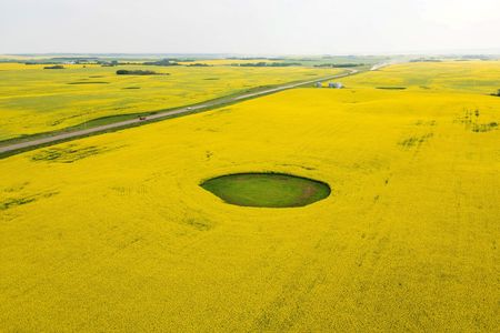 tagreuters.com2025binary_LYNXMPEL7K0W5-VIEWIMAGE