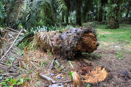 tagreuters.com2025binary_LYNXMPEL840AA-VIEWIMAGE