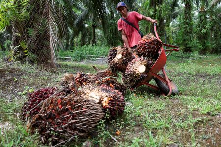 tagreuters.com2025binary_LYNXMPEL9M08C-VIEWIMAGE