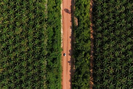 tagreuters.com2025binary_LYNXMPEL9M08D-VIEWIMAGE