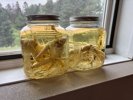 tagreuters.com2025binary_LYNXMPEL9M0FZ-VIEWIMAGE