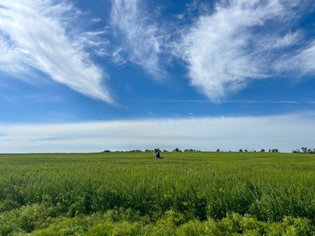 tagreuters.com2025binary_LYNXMPELA50AQ-VIEWIMAGE