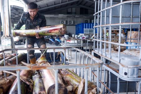 tagreuters.com2025binary_LYNXNPEL8H01M-VIEWIMAGE