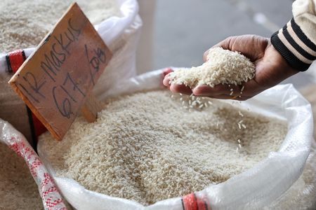 tagreuters.com2025binary_LYNXNPEL8M0A6-VIEWIMAGE