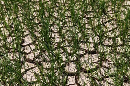 tagreuters.com2022binary_LYNXMPEI7N0VX-VIEWIMAGE