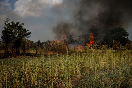 tagreuters.com2022binary_LYNXMPEI7O0LM-VIEWIMAGE