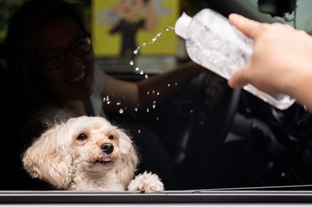 tagreuters.com2022binary_LYNXMPEI9103P-VIEWIMAGE