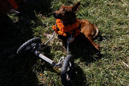 tagreuters.com2022binary_LYNXMPEI9O0A5-VIEWIMAGE