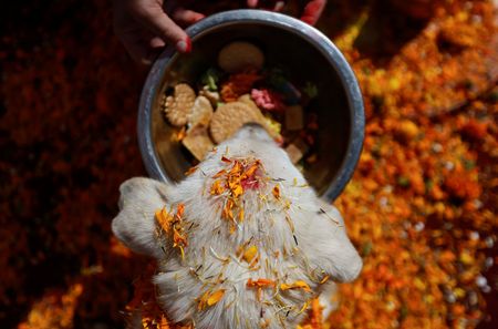 tagreuters.com2022binary_LYNXMPEI9O0A9-VIEWIMAGE