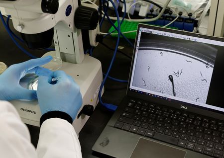 tagreuters.com2022binary_LYNXMPEIAT09P-VIEWIMAGE