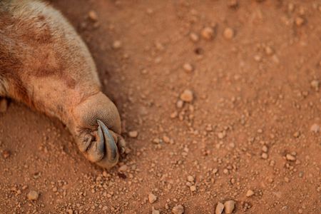 tagreuters.com2022binary_LYNXMPEIBG02M-VIEWIMAGE