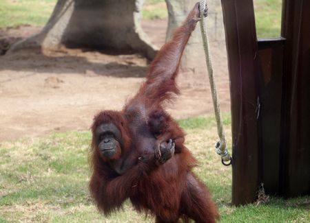 tagreuters.com2022binary_LYNXMPEIBG02N-VIEWIMAGE