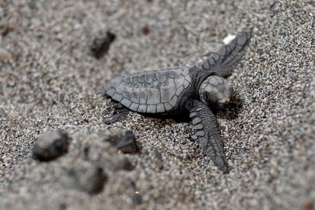 tagreuters.com2023binary_LYNXMPEJ16008-VIEWIMAGE