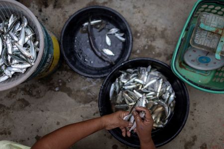 tagreuters.com2023binary_LYNXMPEJ16011-VIEWIMAGE