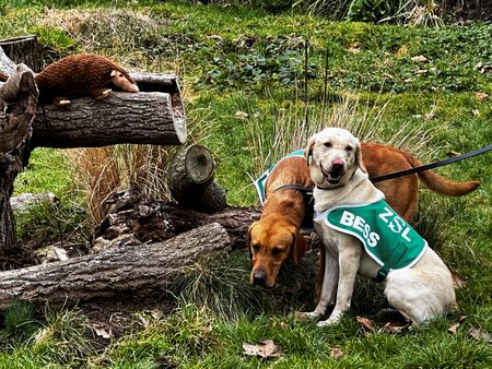 tagreuters.com2023binary_LYNXMPEJ1R0M8-VIEWIMAGE