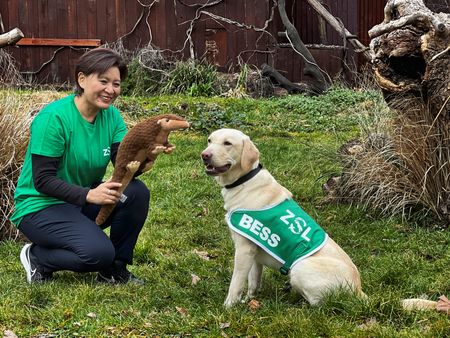 tagreuters.com2023binary_LYNXMPEJ1R0N5-VIEWIMAGE