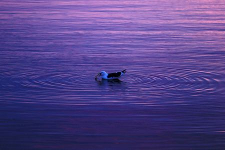 tagreuters.com2023binary_LYNXMPEJ2810E-VIEWIMAGE