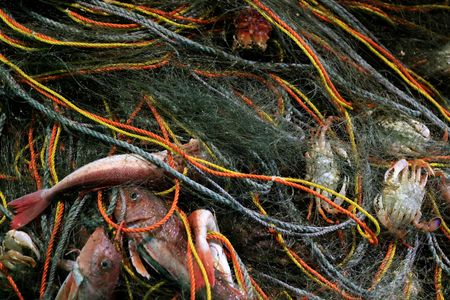 tagreuters.com2023binary_LYNXMPEJ2810I-VIEWIMAGE