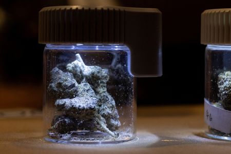 tagreuters.com2023binary_LYNXMPEJ2P025-VIEWIMAGE