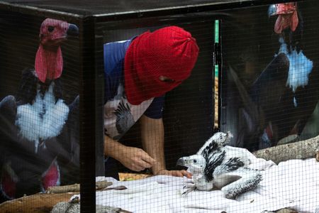 tagreuters.com2023binary_LYNXMPEJ3O014-VIEWIMAGE