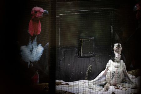 tagreuters.com2023binary_LYNXMPEJ3O015-VIEWIMAGE