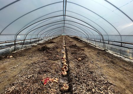 tagreuters.com2023binary_LYNXMPEJ7109G-VIEWIMAGE