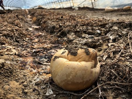 tagreuters.com2023binary_LYNXMPEJ7109H-VIEWIMAGE