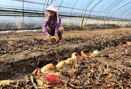 tagreuters.com2023binary_LYNXMPEJ7109J-VIEWIMAGE