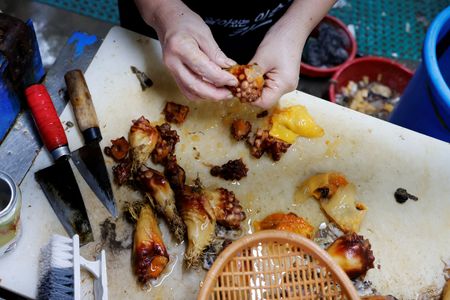 tagreuters.com2023binary_LYNXMPEJ7N0BP-VIEWIMAGE