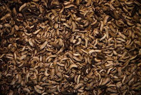 tagreuters.com2023binary_LYNXMPEJ7O017-VIEWIMAGE