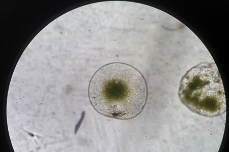 tagreuters.com2023binary_LYNXMPEJ8J01G-VIEWIMAGE