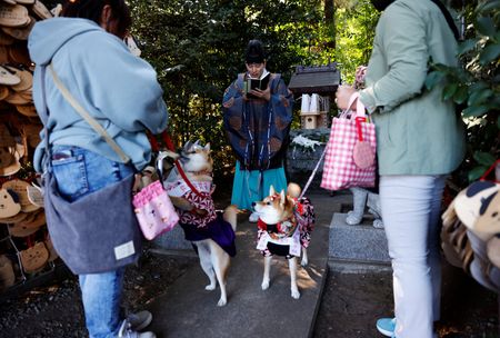 tagreuters.com2023binary_LYNXMPEJAD0E5-VIEWIMAGE