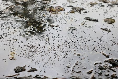 tagreuters.com2023binary_LYNXMPEJB2019-VIEWIMAGE