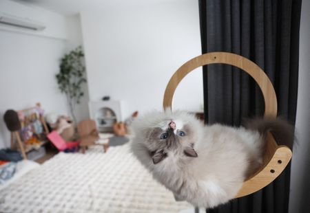 tagreuters.com2024binary_LYNXMPEK0200M-VIEWIMAGE