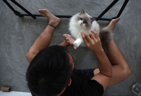 tagreuters.com2024binary_LYNXMPEK0200N-VIEWIMAGE