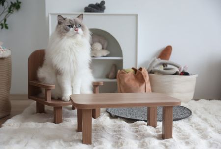 tagreuters.com2024binary_LYNXMPEK0200O-VIEWIMAGE