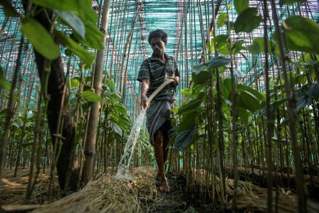 tagreuters.com2024binary_LYNXMPEK4T0DR-VIEWIMAGE