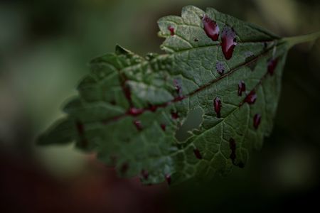 tagreuters.com2024binary_LYNXMPEK540EQ-VIEWIMAGE
