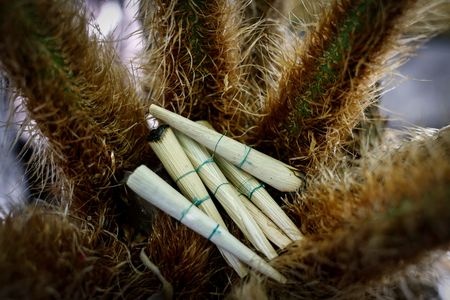 tagreuters.com2024binary_LYNXMPEK5P0Y9-VIEWIMAGE