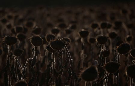 tagreuters.com2024binary_LYNXMPEKB802L-VIEWIMAGE