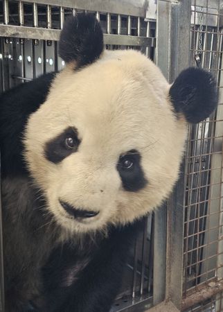 tagreuters.com2024binary_LYNXNPEK1S0G5-VIEWIMAGE