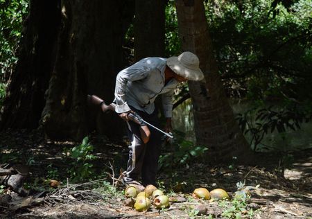 tagreuters.com2025binary_LYNXMPEL2E02K-VIEWIMAGE