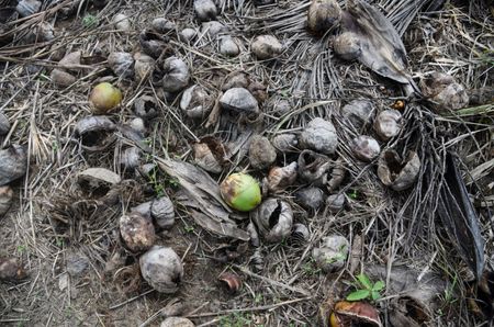 tagreuters.com2025binary_LYNXMPEL2E02N-VIEWIMAGE