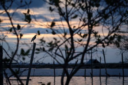 tagreuters.com2025binary_LYNXMPEL3H0JX-VIEWIMAGE