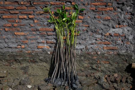 tagreuters.com2025binary_LYNXMPEL3H0KB-VIEWIMAGE