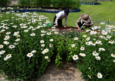 tagreuters.com2025binary_LYNXMPEL6707E-VIEWIMAGE