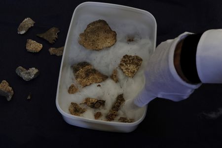 tagreuters.com2025binary_LYNXMPEL6707J-VIEWIMAGE